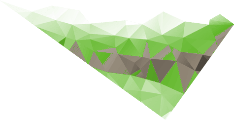 shape